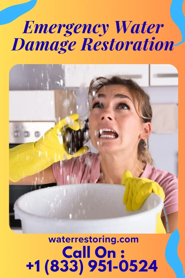 Emergency Water Damage Restoration in Bevil Oaks, TX