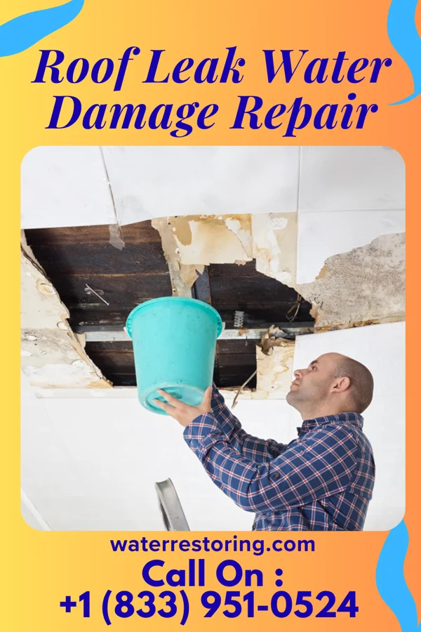 Roof Leak Water Damage Repair in Bevil Oaks, TX